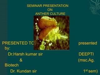 SEMINAR PRESENTATION
ON
ANTHER CULTURE

PRESENTED TO:
by:
Dr.Harsh kumar sir
&
Biotech
Dr. Kundan sir

presented
DEEPTI
(msc.Ag.
1st sem)

 