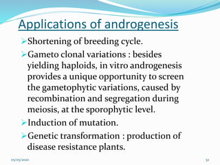 Anther culture haploid plant productionn | PPTX