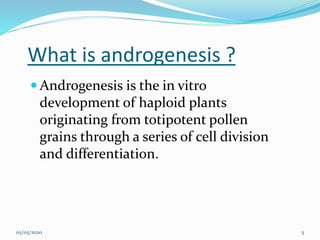 Anther culture haploid plant productionn | PPTX