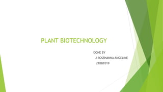 PLANT BIOTECHNOLOGY
DONE BY
J ROSSHANNA ANGELINE
21BBT019
 
