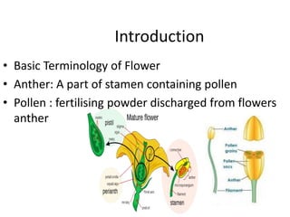 Anther culture and pollen culture | PPTX