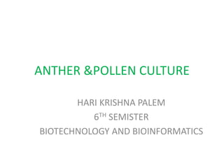 ANTHER &POLLEN CULTURE
HARI KRISHNA PALEM
6TH SEMISTER
BIOTECHNOLOGY AND BIOINFORMATICS
 
