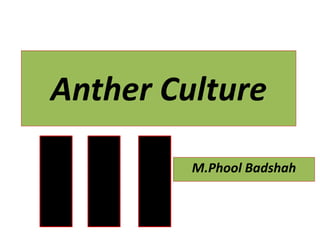 Anther Culture
M.Phool Badshah
 