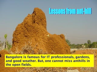 Lessons from ant-hill Bangalore is famous for IT professionals, gardens, and good weather. But, one cannot miss anthills in the open fields. 