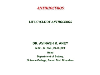 LIFE CYCLE OF ANTHOCEROS
DR. AVINASH K. ANEY
M.Sc., M. Phil., Ph.D. SET
Head
Department of Botany,
Science College, Pauni, Dist. Bhandara
 