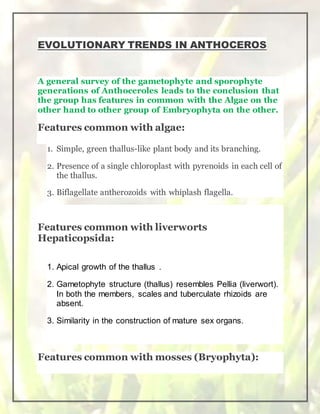Anthoceros | DOCX