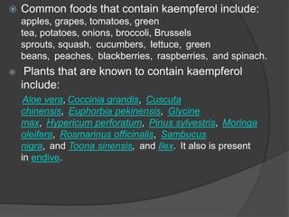  Common foods that contain kaempferol include:
apples, grapes, tomatoes, green
tea, potatoes, onions, broccoli, Brussels
sprouts, squash, cucumbers, lettuce, green
beans, peaches, blackberries, raspberries, and spinach.
 Plants that are known to contain kaempferol
include:
Aloe vera, Coccinia grandis, Cuscuta
chinensis, Euphorbia pekinensis, Glycine
max, Hypericum perforatum, Pinus sylvestris, Moringa
oleifera, Rosmarinus officinalis, Sambucus
nigra, and Toona sinensis, and Ilex. It also is present
in endive.
 