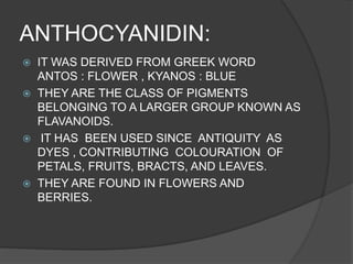 ANTHOCYANIDIN:
 IT WAS DERIVED FROM GREEK WORD
ANTOS : FLOWER , KYANOS : BLUE
 THEY ARE THE CLASS OF PIGMENTS
BELONGING TO A LARGER GROUP KNOWN AS
FLAVANOIDS.
 IT HAS BEEN USED SINCE ANTIQUITY AS
DYES , CONTRIBUTING COLOURATION OF
PETALS, FRUITS, BRACTS, AND LEAVES.
 THEY ARE FOUND IN FLOWERS AND
BERRIES.
 