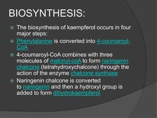 BIOSYNTHESIS:
 The biosynthesis of kaempferol occurs in four
major steps:
 Phenylalanine is converted into 4-coumaroyl-
CoA
 4-coumaroyl-CoA combines with three
molecules of malonyl-coA to form naringenin
chalcone (tetrahydroxychalcone) through the
action of the enzyme chalcone synthase
 Naringenin chalcone is converted
to naringenin and then a hydroxyl group is
added to form dihydrokaempferol
 