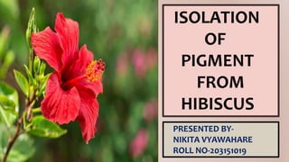ISOLATION
OF
PIGMENT
FROM
HIBISCUS
PRESENTED BY-
NIKITA VYAWAHARE
ROLL NO-203151019
 