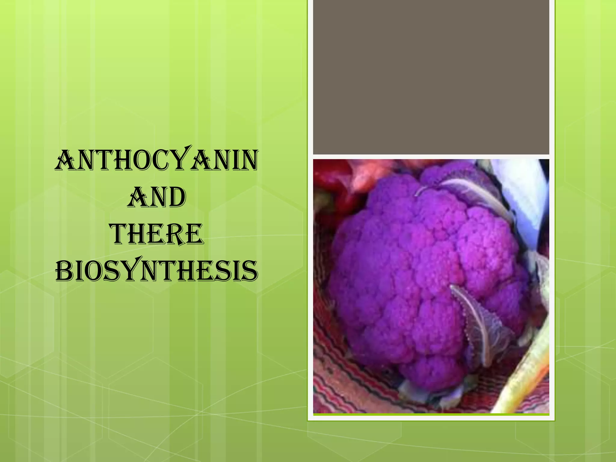 Anthocyanin
and
there
biosynthesis
 