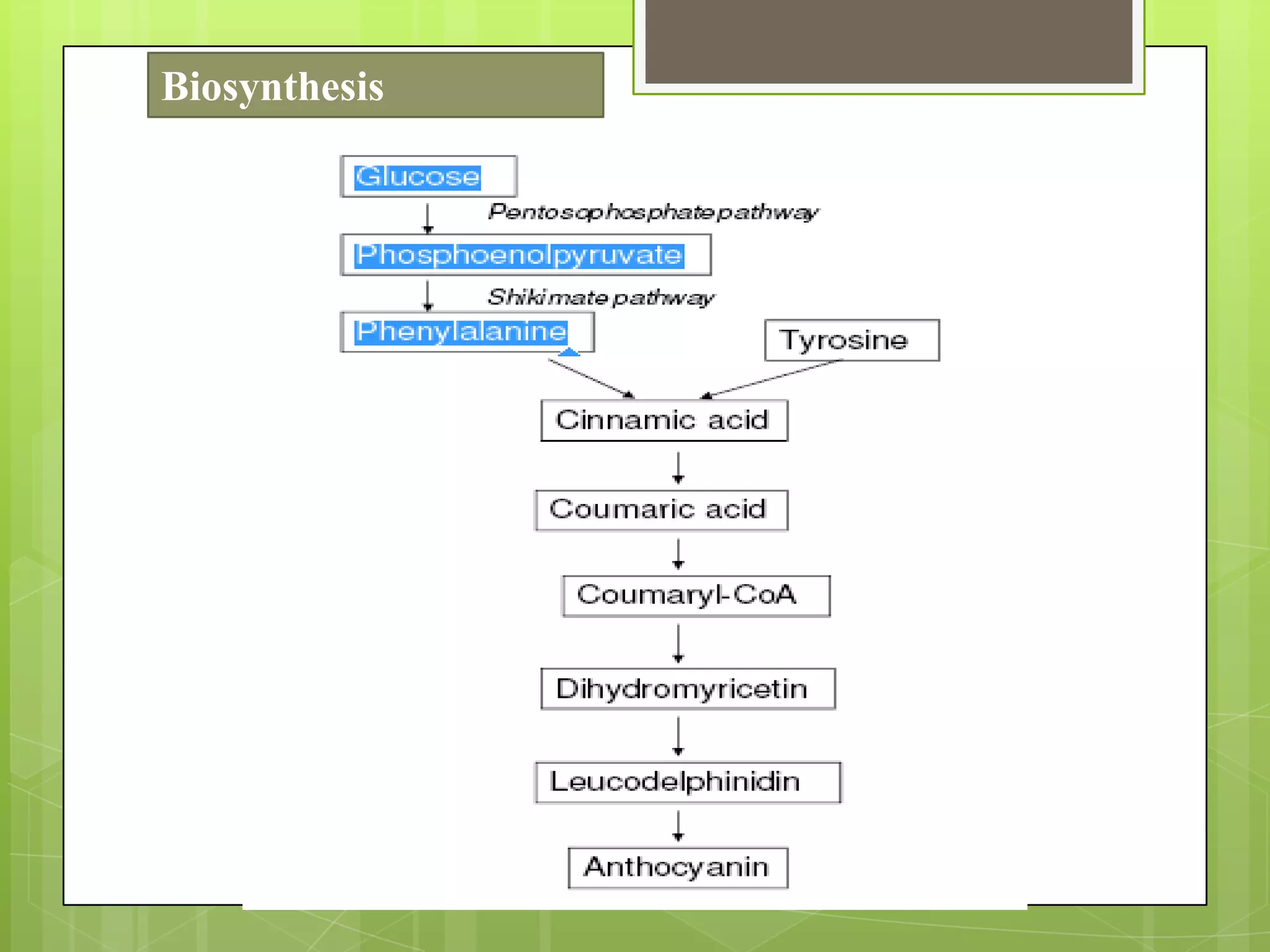 Biosynthesis
 