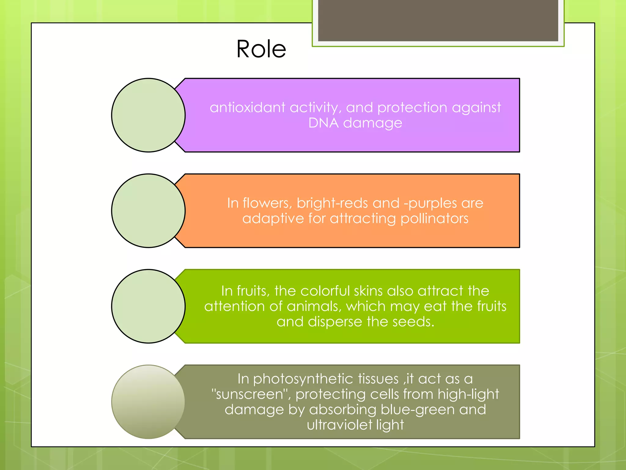 Role
antioxidant activity, and protection against
DNA damage
In flowers, bright-reds and -purples are
adaptive for attracting pollinators
In fruits, the colorful skins also attract the
attention of animals, which may eat the fruits
and disperse the seeds.
In photosynthetic tissues ,it act as a
"sunscreen", protecting cells from high-light
damage by absorbing blue-green and
ultraviolet light
 