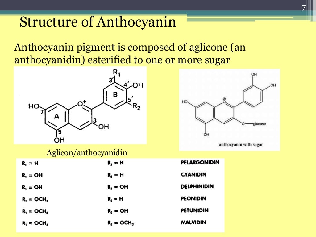 Anthocyanin n flavonoid