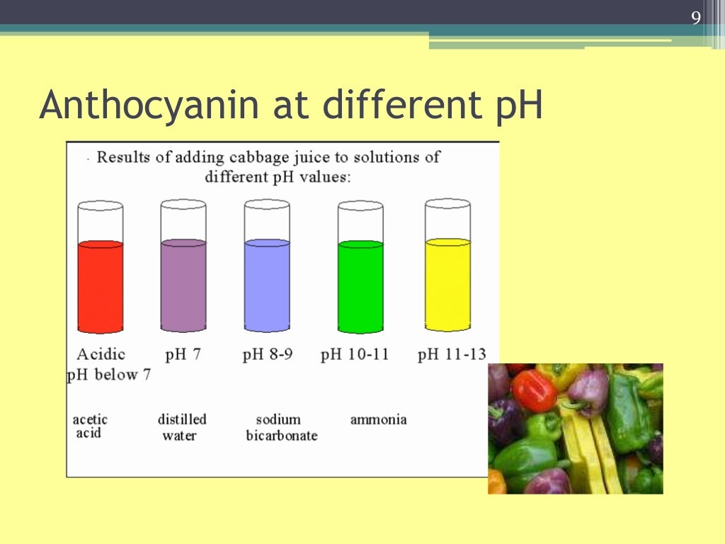Anthocyanin n flavonoid