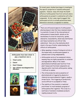 In recent years, studies have begun to investigate
                                  the specific properties of isolated anthocyanin
                                  pigments. However, many still study the health
                                  effects of anthocyanins from fruit extracts where
                                  anthocyanins are present in combination with other
                                  compounds. In fact, some reports suggest that
                                  anthocyanin activity is actually potentiated when
                                  delivered in mixtures, as opposed to isolates.


                                  There are still several aspects of anthocyanins’
                                  pharmacological roles that have remained elusive
                                  to scientists. In most of the interventions of
                                  anthocyanins in human health, details on the
                                  mechanisms of action for bioactivity, uptake,
                                  absorption, bioavailability, whole body distribution
                                  and tissue localization are still not fully
                                  understood. Here are a few obstacles which
                                  stand in the way of better understanding the
                                  effects of anthocyanins:

                                    When speaking in terms of biological activity in
                                    the human body, an anthocyanin pigment is
Anthocyanins have been shown to     (almost) never acting independently.
    play a beneficial role in:      Anthocyanins can be of an evanescent nature,
 Visual acuity                      meaning they are highly susceptible to oxidation
                                    and degradation. Many of the classic
 Cancer
                                    phytochemical methods used toextract from
 Heart Disease
                                    plant tissues and fractional components can
 Age-related neurodegenerative      degrade and/or inactivate anthocyanins, making
 disorders
                                    it difficult to isolate.
                                    The initial production and accumulation of
                                    phytochemicals is triggered by physical or
                                    chemical microenvironmental triggers, usually a
                                    stress factor. This triggering of productivity
                                    can be difficult to accomplish at times.
                                    The inability of the scientist or medicinal
                                    practitioner to track metabolic progress of
                                    anthocyanins after ingestion. This is due to a
                                    multitude of metabolic breakdown products
                                    rapidly produced in situ.
 