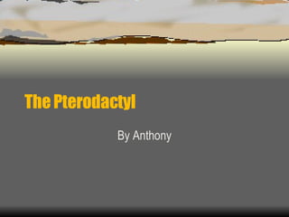 The Pterodactyl By Anthony 