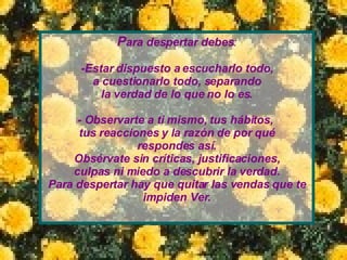 P ara despertar debes : -Estar dispuesto a escucharlo todo, a cuestionarlo todo, separando la verdad de lo que no lo es. - Observarte a ti mismo, tus hábitos,  tus reacciones y la razón de por qué respondes así. Obsérvate sin críticas, justificaciones, culpas ni miedo a descubrir la verdad. Para despertar hay que quitar las vendas que te impiden Ver. 