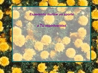 Esperando realizar un aporte  a  Tú  espiritualidad 