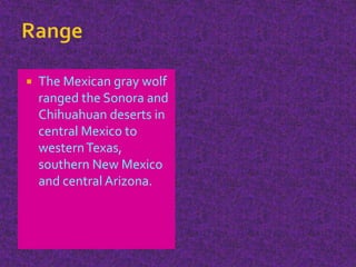  The Mexican gray wolf
ranged the Sonora and
Chihuahuan deserts in
central Mexico to
westernTexas,
southern New Mexico
and central Arizona.
 