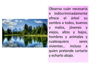 Observa cuán necesaria
e indiscriminadamente
ofrece el árbol su
sombra a todos, buenos
y malos, jóvenes y
viejos, altos y bajos,
hombres y animales y
cualesquiera seres
vivientes… incluso a
quien pretende cortarlo
y echarlo abajo.
 