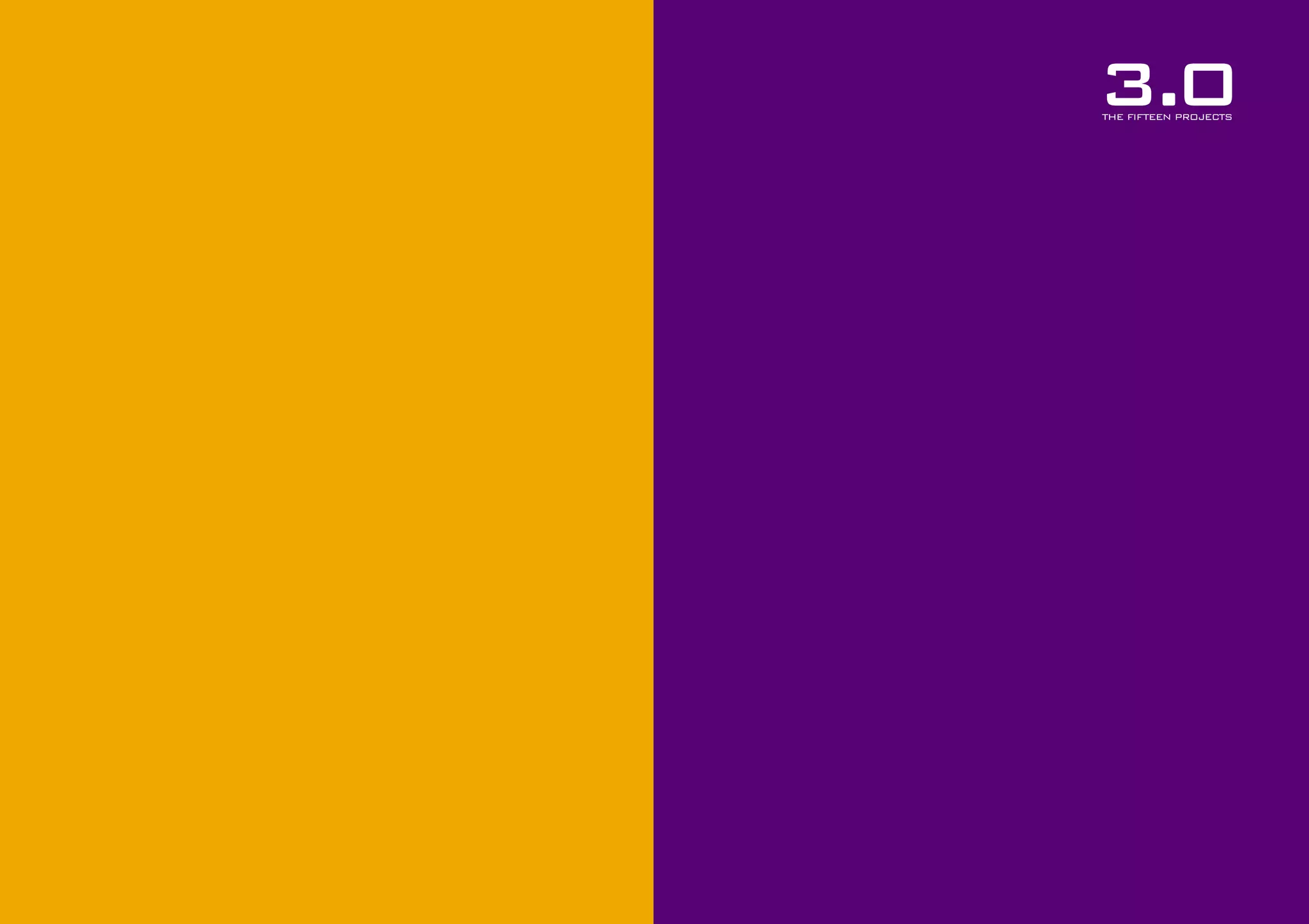 3.0
THE FIFTEEN PROJECTS

 