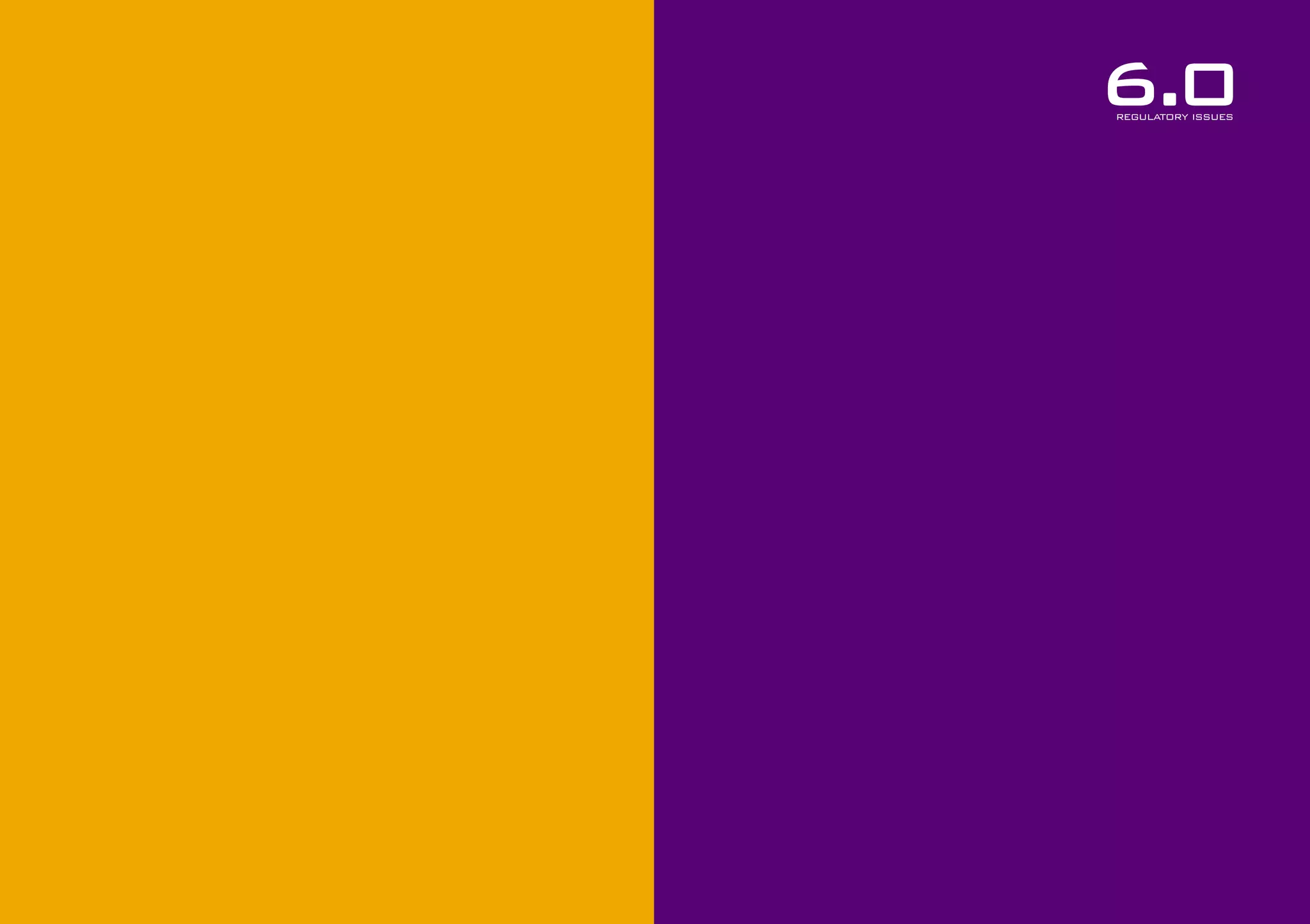 6.0
REGULATORY ISSUES

 