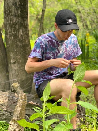 Anthony Locke out in the woods collecting seeds.pdf
