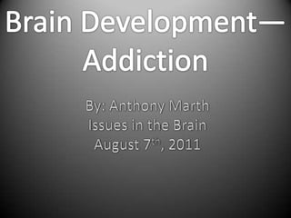 Brain Development— Addiction By: Anthony Marth Issues in the Brain August 7th, 2011 