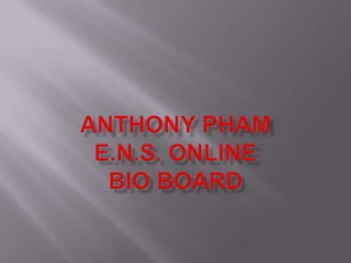 Anthony Pham E.N.S. ONLINEBio Board 