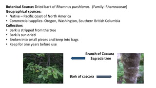 Botanical Source: Dried bark of Rhamnus purshianus. (Family- Rhamnaceae)
Geographical sources:
• Native – Pacific coast of...