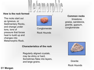 How is the rock formed The rocks start out as Igneous, or Sedimentary Rocks, and change under tons, tons of pressure that forces heat to build up and changes into Metamorphic Rock. Characteristics of the rock Regularly aligned crystals, may be shiny or hard. Sometimes flake into layers, and large grains. klumnknknj Common rocks limestone, gneiss, sandstone, granite, gypsum, conglomerate  Granite  Rock Hounds Conglomerate  Rock Hounds Metamorphic BY  Morgan 