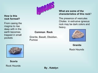Igneaus How is this rock   formed?   From casing the magma to rise deep with in the earth becomes trapped in small pockets  What are some of the characteristics of this rock ? The presence of vesicules Choles  in extrusive igneous rock may be dark colors and heavy.  Common  Rock Granite, Basalt, Obsidian, Pumice  Scoria  Rock Hounds Granite Rock Hounds By . Katelyn 