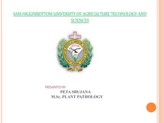 SAM HIGGINBOTTOM UNIVERSITY OF AGRICULTURE TECHNOLOGY AND
SCIENCES
PRESANTED BY
PETA SRUJANA
M.Sc. PLANT PATHOLOGY
 