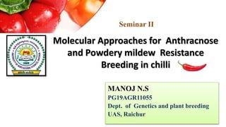 Molecular Approaches for Anthracnose
and Powdery mildew Resistance
Breeding in chilli
MANOJ N.S
PG19AGR11055
Dept. of Genetics and plant breeding
UAS, Raichur
Seminar II
 