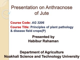 Presentation on Anthracnose
of Jute
Course Code: AG 3206
Course Title: Principles of plant pathology
& disease field crops(P)
Presented by
Habibur Rahaman
Department of Agriculture
Noakhali Science and Technology University
 