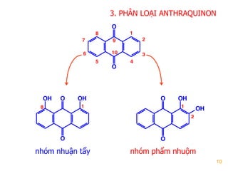 10
O
O
1
2
3
45
6
7
8
9
10
O
O
OHOH
8 1 1
2
O
O
OH
OH
nhóm phẩm nhuộmnhóm nhuận tẩy
3. PHÂN LOẠI ANTHRAQUINON
 