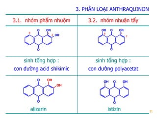 11
3. PHÂN LOẠI ANTHRAQUINON
3.1. nhóm phẩm nhuộm 3.2. nhóm nhuận tẩy
sinh tổng hợp :
con đƣờng acid shikimic
sinh tổng hợp :
con đƣờng polyacetat
O
O OR
OR
1
2
8
O
O OROR
1
2
8
O
O
OH
OH
alizarin istizin
O OHOH
O
 