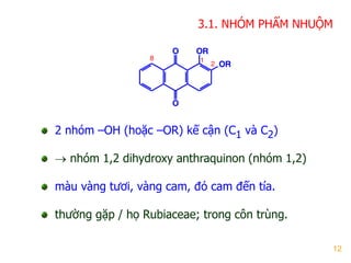 12
3.1. NHÓM PHẨM NHUỘM
2 nhóm –OH (hoặc –OR) kế cận (C1 và C2)
 nhóm 1,2 dihydroxy anthraquinon (nhóm 1,2)
màu vàng tƣơi, vàng cam, đỏ cam đến tía.
thƣờng gặp / họ Rubiaceae; trong côn trùng.
O
O OR
OR
1
2
8
 