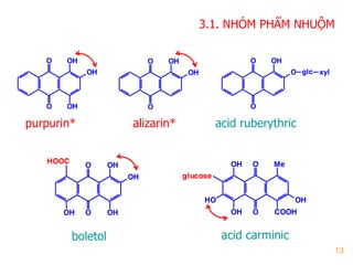 13
acid ruberythric
O
O
OH
OH
OH O
O
OH
OH
O
O
O
OH
glc xyl
O
O
OH
OH
OHOH
HOOC
O
O
OH
MeOH
HO
OH COOH
glucose
boletol
purpurin* alizarin*
acid carminic
3.1. NHÓM PHẨM NHUỘM
 