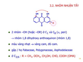 14
2 nhóm –OH (hoặc –OR) ở C1 và C8 (, peri)
 nhóm 1,8 dihydroxy anthraquinon (nhóm 1,8)
màu vàng nhạt  vàng cam, đỏ cam.
gặp / họ Fabaceae, Polygonaceae, Asphodelaceae
ở C3/6 : R = CH3, OCH3, CH2OH, CHO, COOH (OMA)
1
3
8
O
O OROR
R
3.2. NHÓM NHUẬN TẨY
 