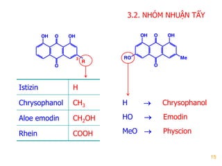15
Istizin H
Chrysophanol CH3
Aloe emodin CH2OH
Rhein COOH
O
O OHOH
R
3
O
O OHOH
MeRO
H  Chrysophanol
HO  Emodin
MeO  Physcion
3.2. NHÓM NHUẬN TẨY
 