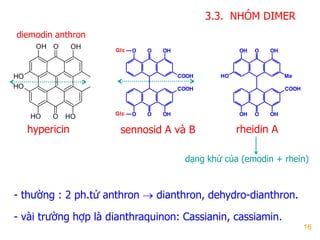 16
3.3. NHÓM DIMER
O OHO
COOH
COOH
OO OHGlc
Glc O OHOH
MeHO
COOH
OOH OH
sennosid A và Bhypericin
- thƣờng : 2 ph.tử anthron  dianthron, dehydro-dianthron.
- vài trƣờng hợp là dianthraquinon: Cassianin, cassiamin.
dạng khử của (emodin + rhein)
diemodin anthron
rheidin A
 