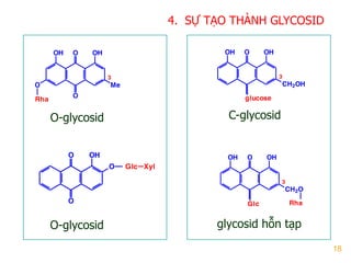 18
4. SỰ TẠO THÀNH GLYCOSID
O-glycosid
O OHOH
CH2OH
3
glucose
O OHOH
CH2O
3
Glc Rha
O OHOH
MeO
O
3
Rha
O
O OH
O Glc Xyl
glycosid hỗn tạp
C-glycosid
O-glycosid
 