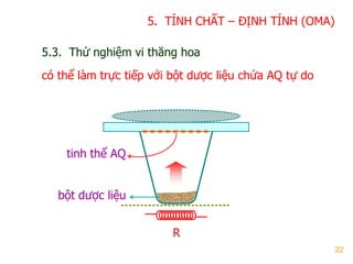 22
5.3. Thử nghiệm vi thăng hoa
có thể làm trực tiếp với bột dƣợc liệu chứa AQ tự do
R
bột dƣợc liệu
tinh thể AQ
5. TÍNH CHẤT – ĐỊNH TÍNH (OMA)
 