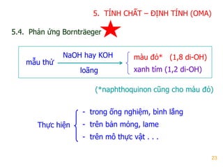 23
5.4. Phản ứng Bornträeger
NaOH hay KOH
loãng
mẫu thử
màu đỏ* (1,8 di-OH)
xanh tím (1,2 di-OH)
(*naphthoquinon cũng cho màu đỏ)
- trong ống nghiệm, bình lắng
- trên bản mỏng, lame
- trên mô thực vật . . .
Thực hiện
5. TÍNH CHẤT – ĐỊNH TÍNH (OMA)
 