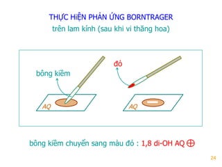 24
THỰC HiỆN PHẢN ỨNG BORNTRAGER
trên lam kính (sau khi vi thăng hoa)
bông kiềm
đỏ
AQ AQ
bông kiềm chuyển sang màu đỏ : 1,8 di-OH AQ
 