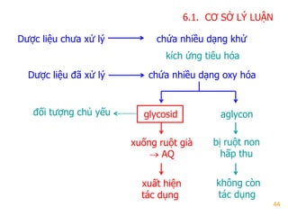 44
đối tƣợng chủ yếu
Dƣợc liệu chƣa xử lý chứa nhiều dạng khử
kích ứng tiêu hóa
Dƣợc liệu đã xử lý chứa nhiều dạng oxy hóa
glycosid aglycon
xuống ruột già
 AQ
xuất hiện
tác dụng
bị ruột non
hấp thu
không còn
tác dụng
6.1. CƠ SỞ LÝ LUẬN
 