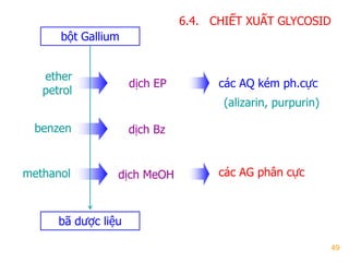 49
6.4. CHIẾT XUẤT GLYCOSID
ether
petrol
benzen
methanol
dịch EP
dịch Bz
dịch MeOH
bột Gallium
bã dƣợc liệu
các AQ kém ph.cực
các AG phân cực
(alizarin, purpurin)
 