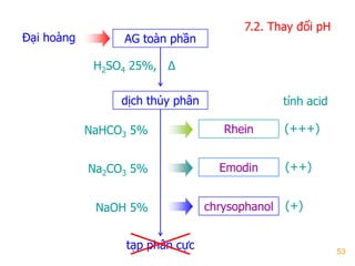 53
7.2. Thay đổi pH
AG toàn phần
dịch thủy phân
Đại hoàng
tạp phân cực
Rhein
Emodin
chrysophanol
NaHCO3 5%
Na2CO3 5%
NaOH 5%
H2SO4 25%, Δ
tính acid
(+++)
(++)
(+)
 
